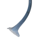 Fender Arch