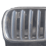 2006 Bmw X3 Kidney Grill Left WCP