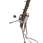 Peugeot 308 Steering Rack
