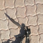 2006 Renault Scenic steering accelerator pedal