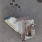 2000 Audi A4 B5 Washer Bottle