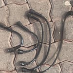 Nissan 1400 Plug Cables