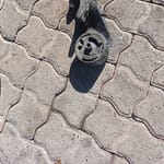 Mazda 323 Engine Mounting