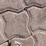 Toyota Tazz water cap