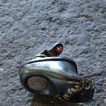2006 Mitsubishi Pajero Door Lock Key Barrel