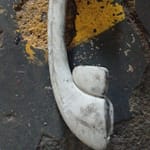 2006 Ford Territory Grab Handle