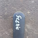 Renault Scenic Window Winder