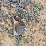 2006 Opel Astra ABS Pump - Used