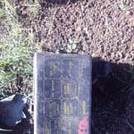 Nissan Sentra Fuse Box - Used