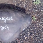 Peugeot 207 Steering Airbag - Used