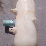 2004 Volkswagen Beetle Water Bottle - Used