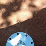 Peugeot 807 Centre Cap - Used ( 2 )