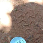 1994 Audi A4 Centre Cap - Used ( 2 )