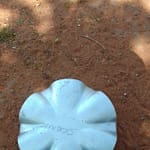 200 Renault Scenic Centre Cap - Used
