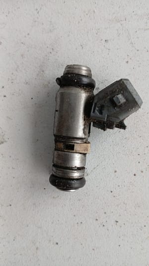 Renault Scenic Injector
